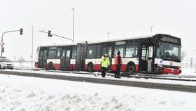 Ranní sníh v pátek vážně zkomplikoval autobusovou dopravu pražských příměstských spojů. (Ilustrační foto)
