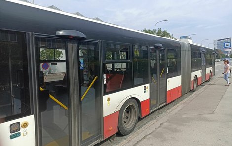 U této zastávky nedaleko brněnského výstaviště se loni stala nehoda, při které se vážně zranila cestující v autobusu.