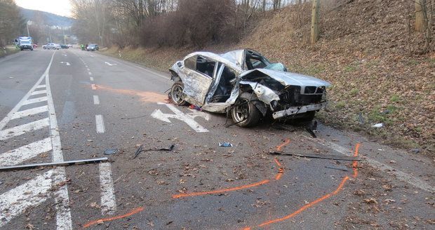 Dívku (†17) zabil náraz do stromu, řidič vozu nezvládl rychlou jízdu