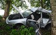 Ve voze, který narazil do stromu, zemřel mladý řidič.
