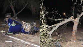 Při nehodě vyjel vůz z vozovky a vrazil do stromu.