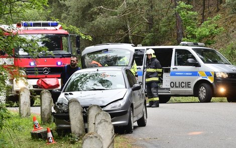 Řidič před srážkou údajně uhýbal protijedoucímu autu.