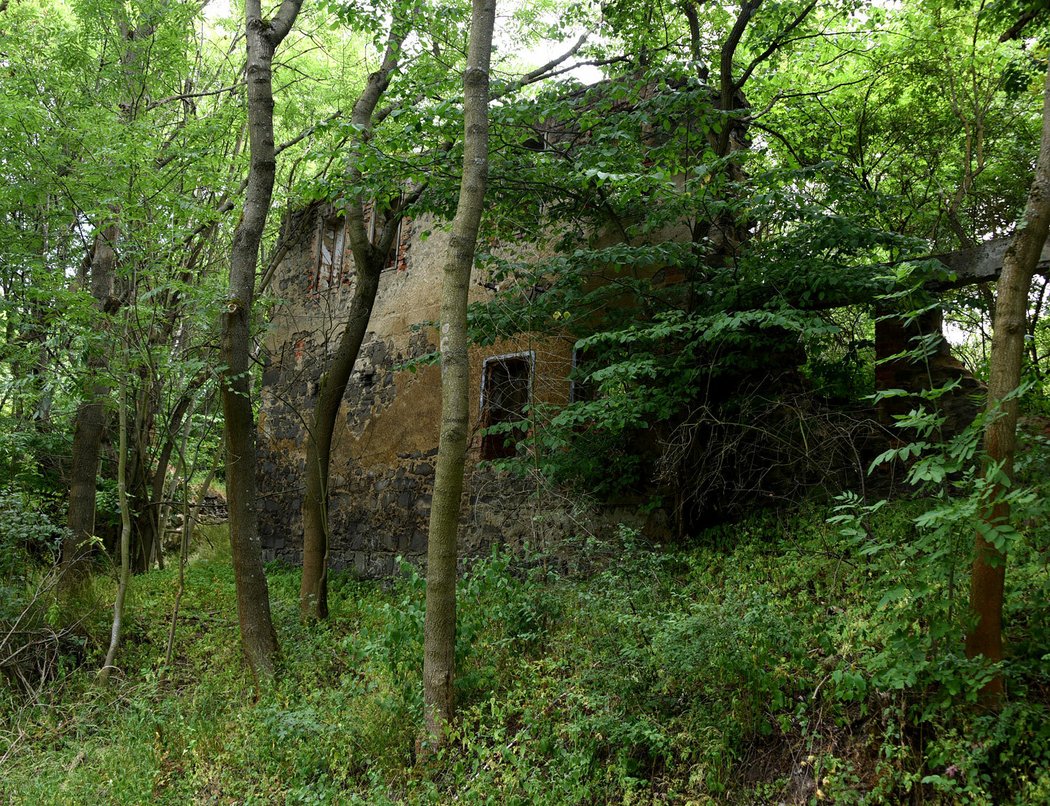 Někdejší vesnici Zvoníčkov si stejně jako další desítky obcí už vzala příroda zpět