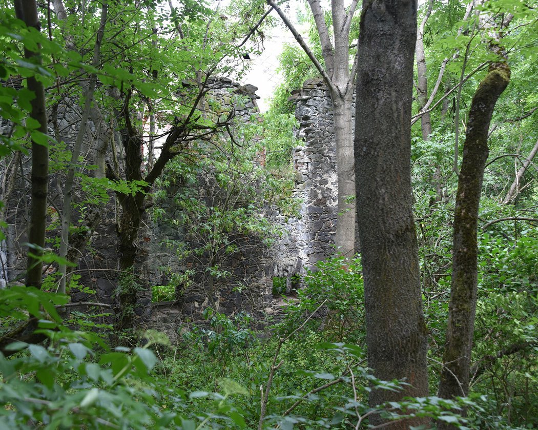 Pozůstatky zaniklé vesnice Zvoníčkov