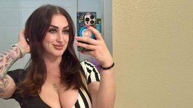 Avalon je součástí Shrekové komunity.