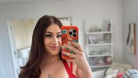 Avalon je součástí Shrekové komunity.