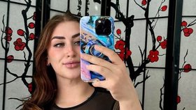 Avalon je součástí Shrekové komunity.