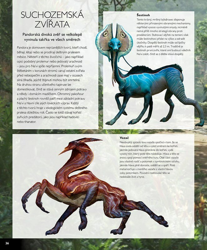 Avatar a jeho svět je pestrobarevná knižní encyklopedie