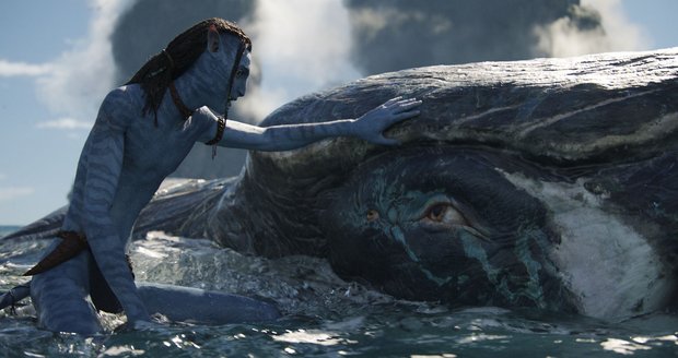 Movie catalog: Avatar: The Way of Water