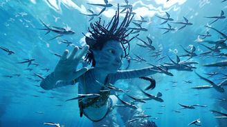 10 věcí o filmu Avatar: The Way of Water aneb jak to je s objímáním tulkunů a zadržováním dechu a moči