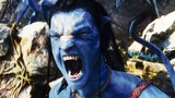 Avatar: Pirátsky nejvíce stahovaný film letošního roku