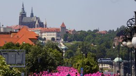 Růžový pochod zaplavil centrum města.