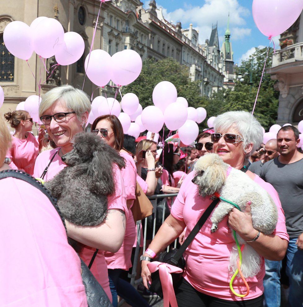 Mnoho známých tváří přišlo na pochod proti rakovině prsu.