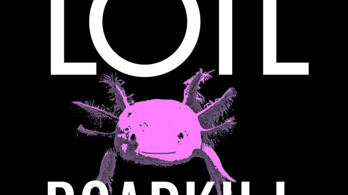 Axolotl roadkill