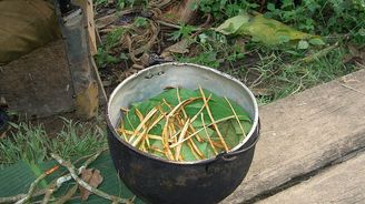 Brazílie začala převychovávat vězně pomocí psychedelického čaje ayahuascy