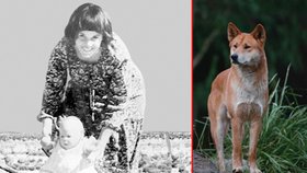 Malé Azarii nebyl ještě ani rok, když zmizela. Zůstala po ní jen krev ve stanu jejích rodičů. Jak se ale nakonec ukázalo, nezabila ji její matka, ale odvlekl pes dingo!
