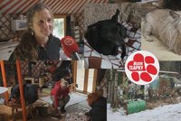 Peníze ze sbírky na Donio pomohly psím starouškům. Zaplatily léčbu Komůrkovi, Elfíčkovi i Čikutce