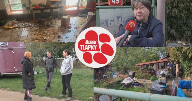 Azyl Tylda v problémech. Majitelka pracovně vyhořela, zvířata si rozebraly jiné spolky