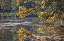 Hřejivá předpověď meteorologů: Ještě nás čeká...