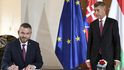 Slovenský premiér Peter Pellegriny se svým čekým protějškem Andrejem Babišem