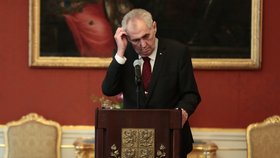 Miloš Zeman jmenoval Andreje Babiše premiérem.