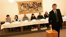 Premiér v demisi Andrej Babiš (ANO) u voleb