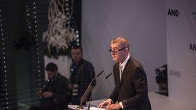 Andrej Babiš, sněm Ano