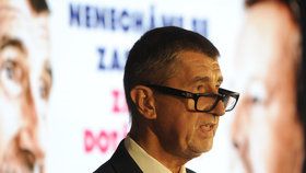 Předseda hnutí ANO Andrej Babiš