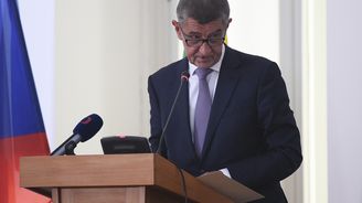 Babiš: S organizátory protestů nemám co řešit