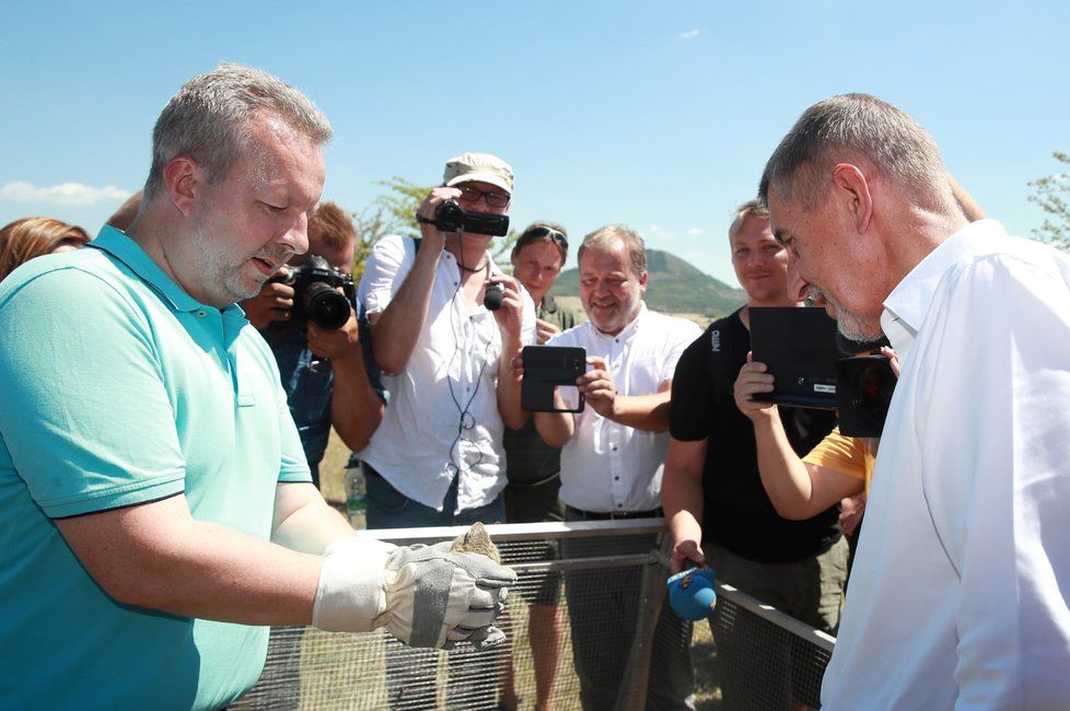 Ministr životního prostředí Richard Brabec asistoval premiéru Babišovi při vypouštění syslů.