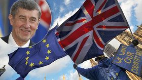 Premiér v demisi Andrej Babiš se neobávám, že by po Brexitu Britové dál nezaměstnávali Čechy. Mají prý v zemi dobrou pověst