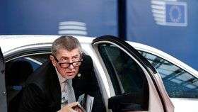 Český premiér Andrej Babiš přijíždí 14. 12. 2017 vůbec své první jednání Evropské rady. Summit se koná jen den po jmenování jeho menšinové vlády