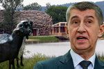 Ministr financí Andrej Babiš (ANO), ekofarma Čapí hnízdo a kozy z pražské zoo (koláž)