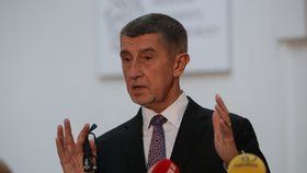 Premiér Andrej Babiš (ANO) ve Sněmovně na tiskové konferenci, kde se vyjadřuje k rozhodnutí státního zástupce o kauze Čapí hnízdo (4. 12. 2019).