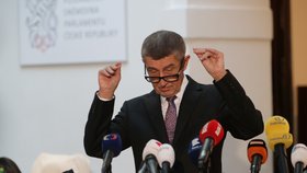 Premiér Andrej Babiš (ANO) ve Sněmovně na tiskové konferenci, kde se vyjadřuje k rozhodnutí státního zástupce o kauze Čapí hnízdo (4. 12. 2019).