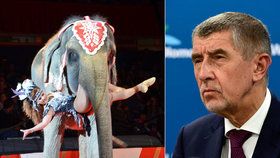 „Milovník zvířat“ Babiš chce konec divokých zvířat v cirkusech. Bude nutná licence.