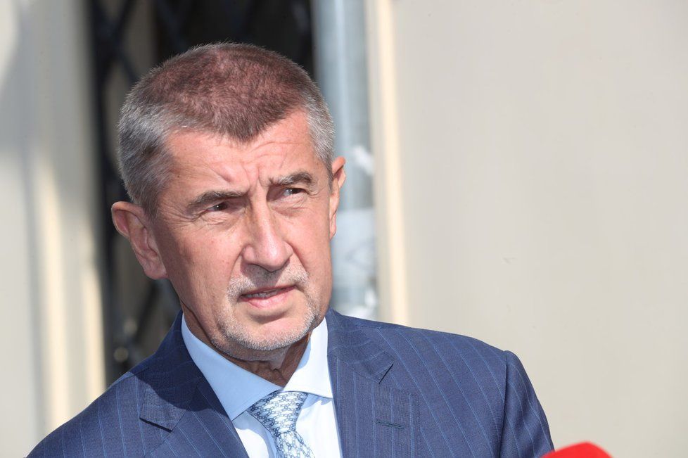 Andrej Babiš (ANO) komentoval výsledky vnitrostranického referenda ČSSD o vstupu do vlády: &#34;Vláda, pokud dostane důvěru, může být úspěšná.&#34; 