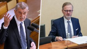 Volby by drtivě vyhrálo ANO, ukázal průzkum. ODS spadla na 13 %, lidovci by ze Sněmovny vyletěli