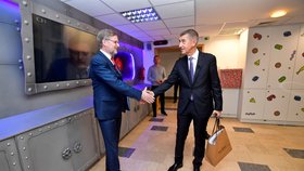 Babiš o auditu: Dodržel jsem zákon, na zveřejnění nemám vliv (1. 12. 2019)