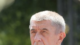 Schůzka v Lánech: Andrej Babiš (ANO, 4. 7. 2019)