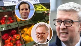 Havlíček vytkl vládě drahé lečo, ale… Za Babiše byly papriky dražší! (28. 2. 2023)
