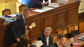 Premiér Babiš dostal do Sněmovny dárky. Háčkovaného andělíčka i srdíčka (4. 6. 2019)