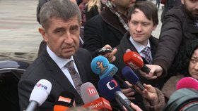 Andrej Babiš na Hradě cestou za Milošem Zemanem