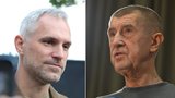Ohlédnutí za senátními volbami: Studená sprcha pro ANO a Piráty. Babišovo hnutí podcenilo mobilizaci