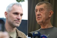 Ohlédnutí za senátními volbami: Studená sprcha pro ANO a Piráty. Babišovo hnutí podcenilo mobilizaci