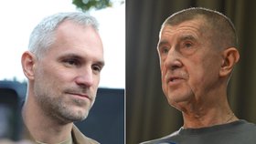 Ohlédnutí za senátními volbami: Studená sprcha pro ANO a Piráty. Babišovo hnutí podcenilo mobilizaci.