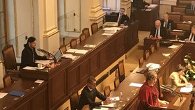 Premiér Andrej Babiš (ANO) během interpelací ve Sněmovně