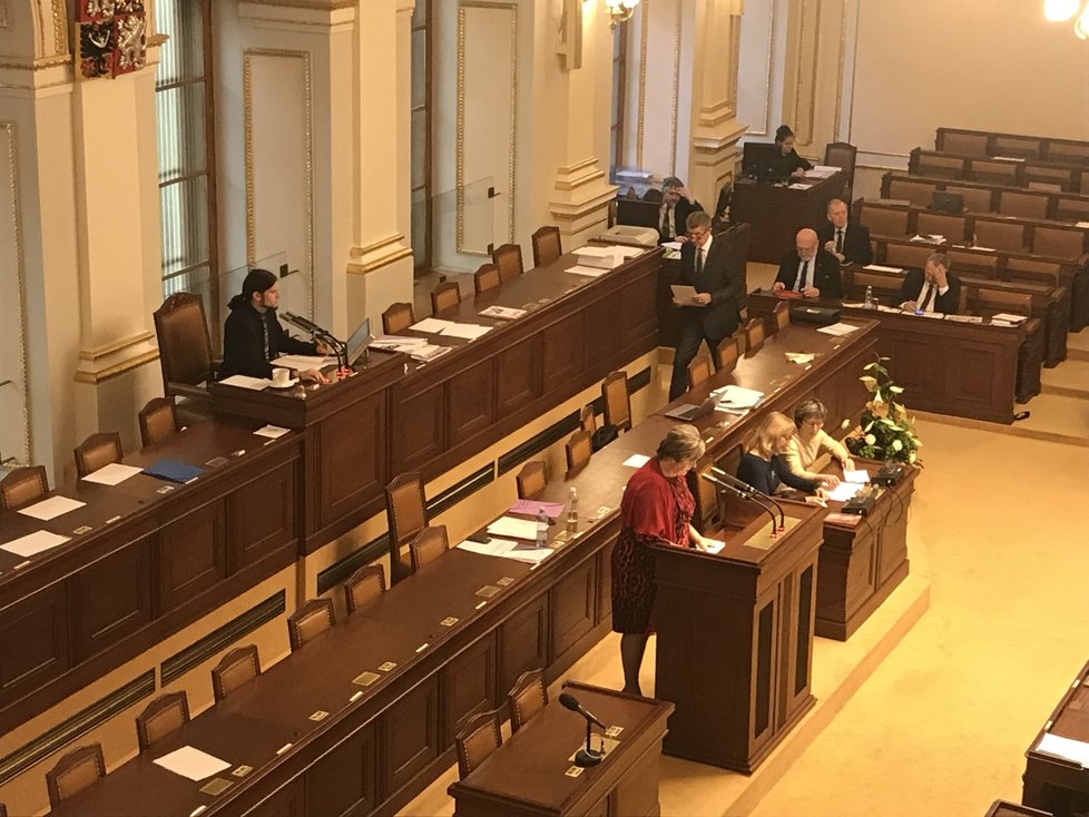 Premiér Andrej Babiš (ANO) během interpelací ve Sněmovně