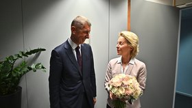 Premiér Babiš v Bruselu (28.7.2019)