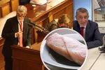 Neshání kompro, ale řízky v kalhotkách: Babiš hájí expolicisty v jeho firmě. Němcová je zděšená